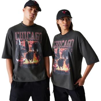 NBA WASHED GRPHC TEE CHIBUL
