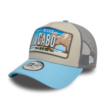 LICENSE PLATE TRUCKER